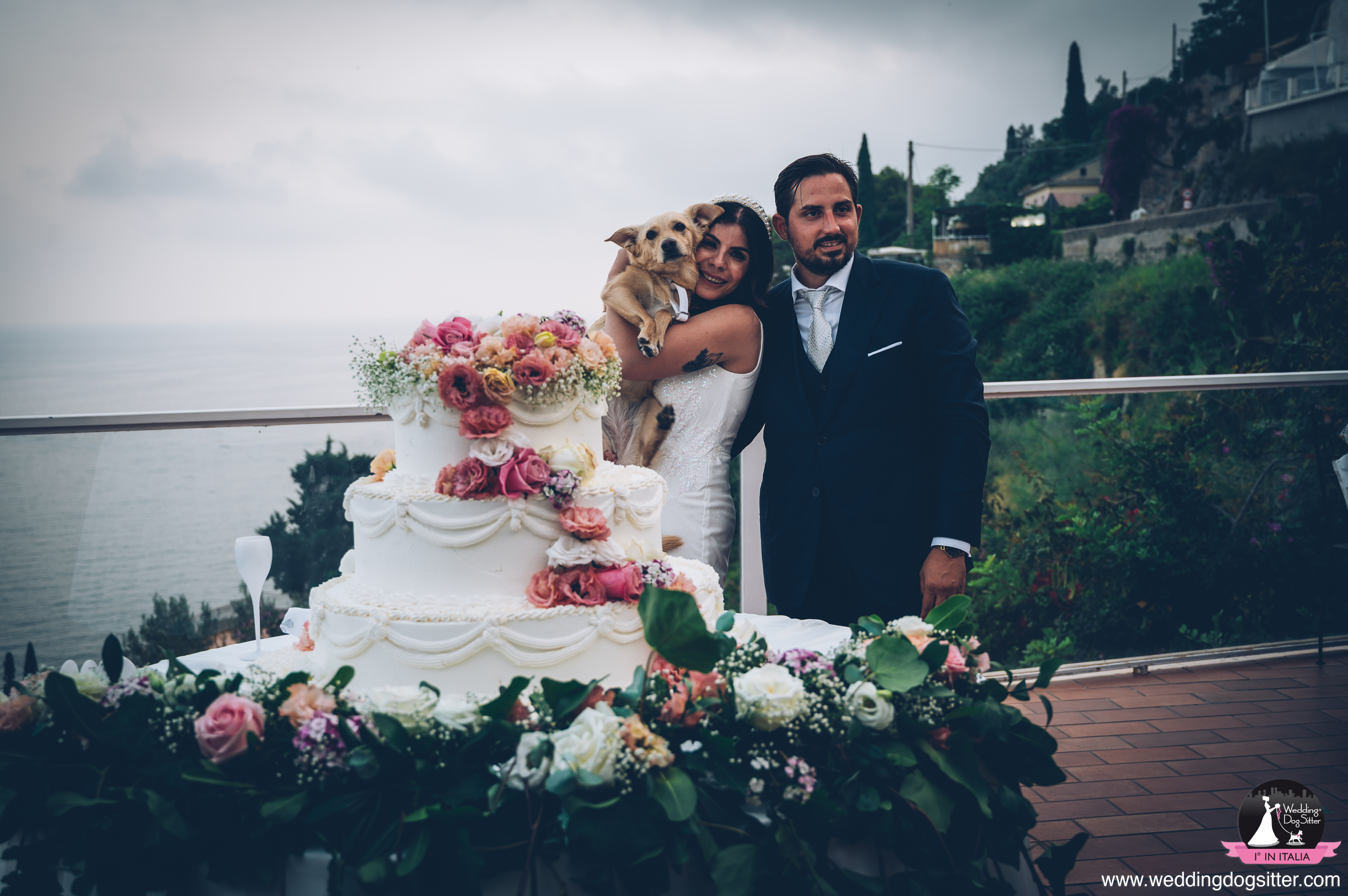 Matrimonio dog friendly nel Cilento: come vivere il sì con il tuo cane, matrimonio dog friendly Cilento, matrimonio con cane Cilento, Wedding Dog Sitter Cilento, cane al matrimonio in provincia di Salerno, location matrimonio cane Cilento, sposi con cane sud Italia, Wedding Dog Sitter