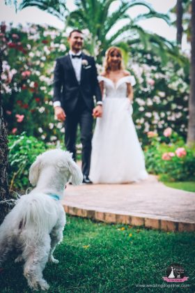 Matrimonio dog friendly nel Cilento: come vivere il sì con il tuo cane, matrimonio dog friendly Cilento, matrimonio con cane Cilento, Wedding Dog Sitter Cilento, cane al matrimonio in provincia di Salerno, location matrimonio cane Cilento, sposi con cane sud Italia, Wedding Dog Sitter