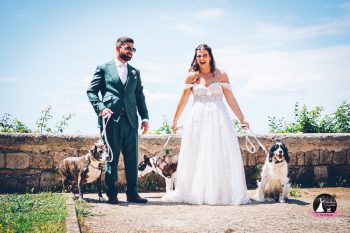 Wedding Dog Sitter a Caserta: il supporto dedicato per gli sposi, Wedding Dog Sitter Caserta, matrimonio con cane Caserta, cane al matrimonio alla Reggia di Caserta, servizio cane matrimonio Caserta, dog sitter per matrimoni Caserta, sposi con cane Caserta e provincia